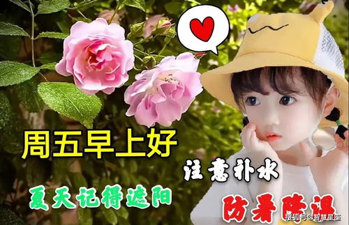 周五早安問(wèn)候 文化交流活動(dòng)策劃的溫馨起點(diǎn)