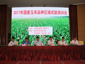 技術推廣服務中心——加速技術轉化與產業升級的橋梁