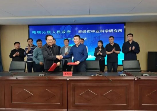 加強(qiáng)科地協(xié)作 共繪現(xiàn)代化國有林場新圖景——論技術(shù)推廣服務(wù)的關(guān)鍵作用